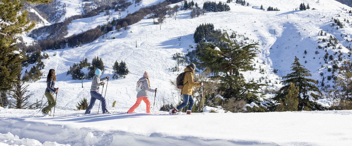 Y un día llegaron las nevadas tardías a la montaña