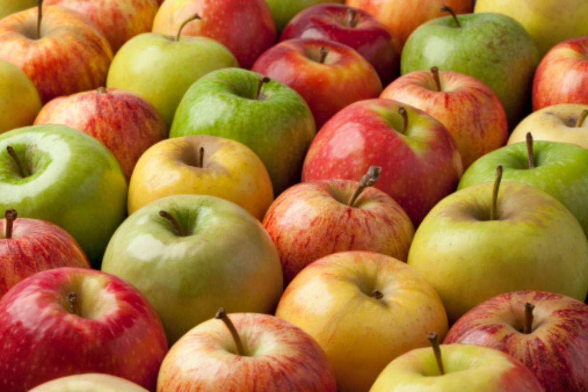 No todas las manzanas son iguales: las principales de Río Negro
