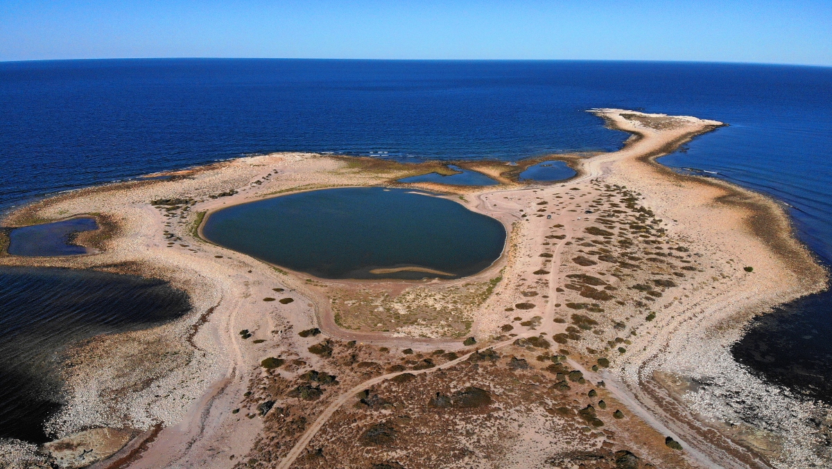 Nace un nuevo parque nacional en Río Negro