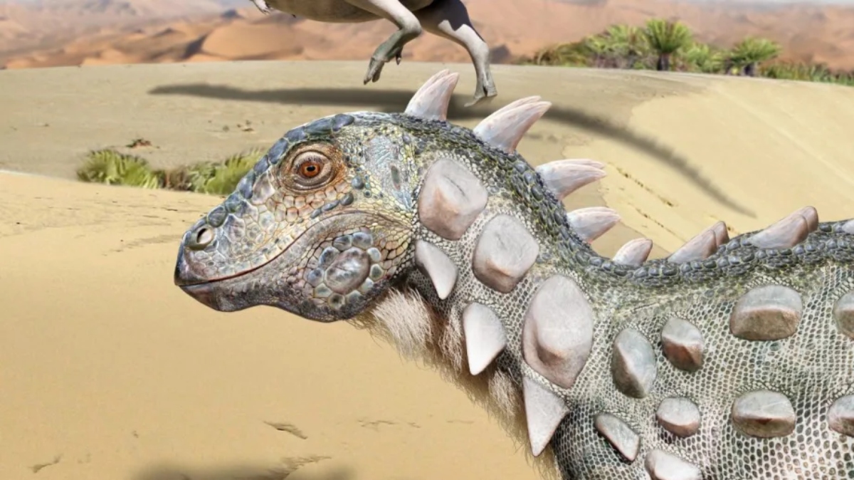 Nuevo dinosaurio descubierto en Río Negro