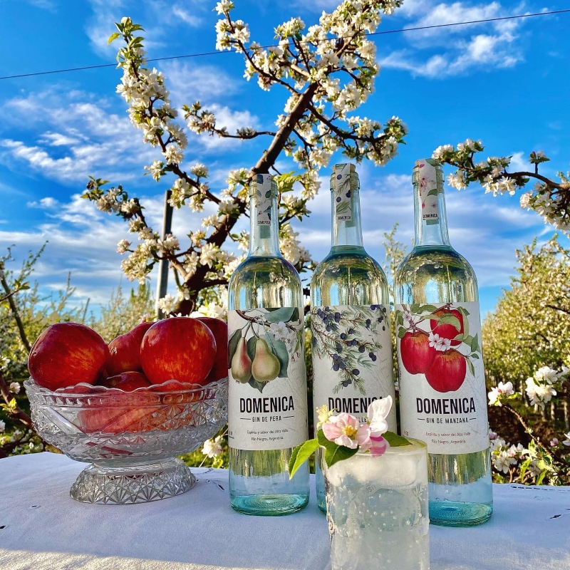 Gin - Los tres productos principales