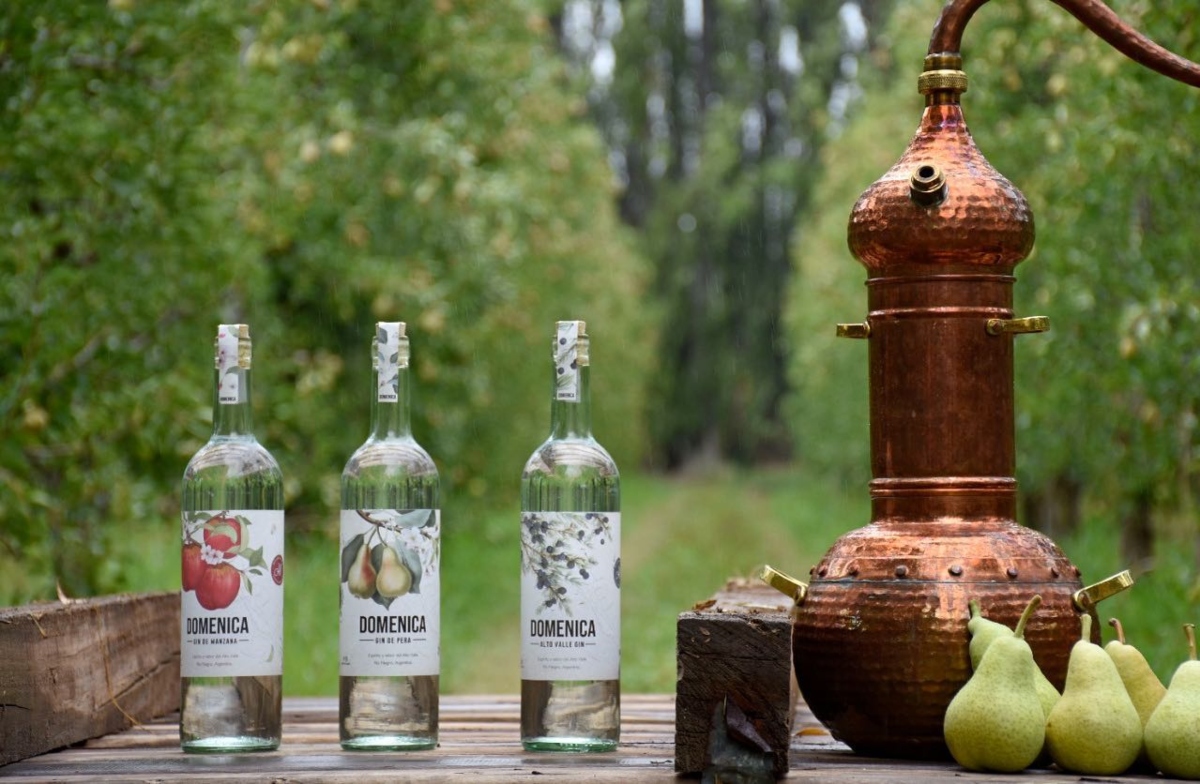 Domenica Gin: espíritu y sabor del Alto Valle